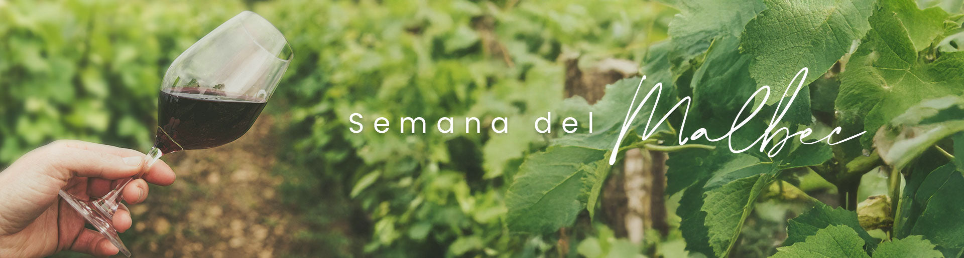 Semana del Malbec - Malbec Esencial
