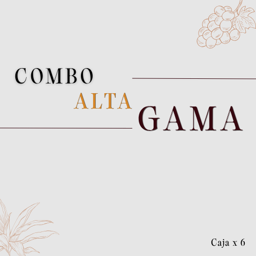 COMBO PERSONAL ALTA GAMA