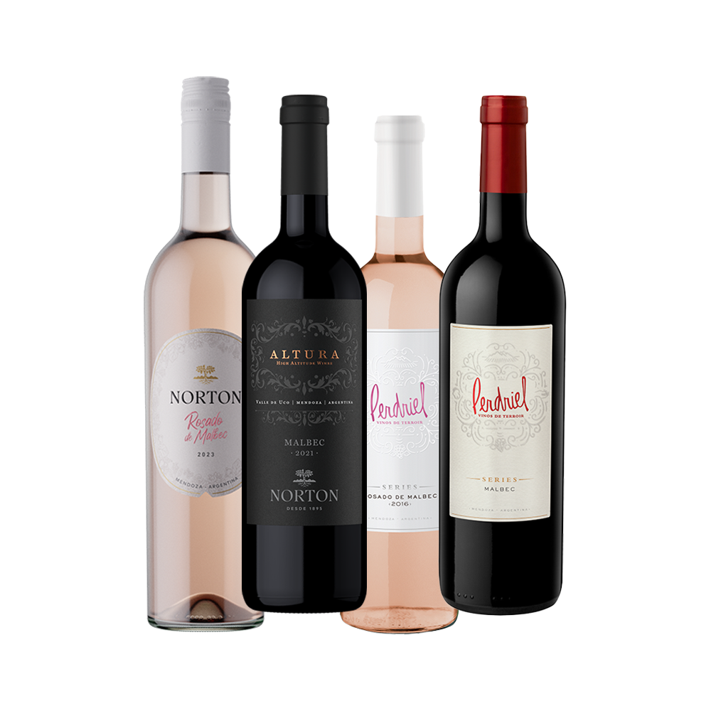 Caja Mix Malbec III